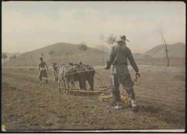 一群人站在马旁边
描述已自动生成