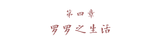 文本
描述已自动生成